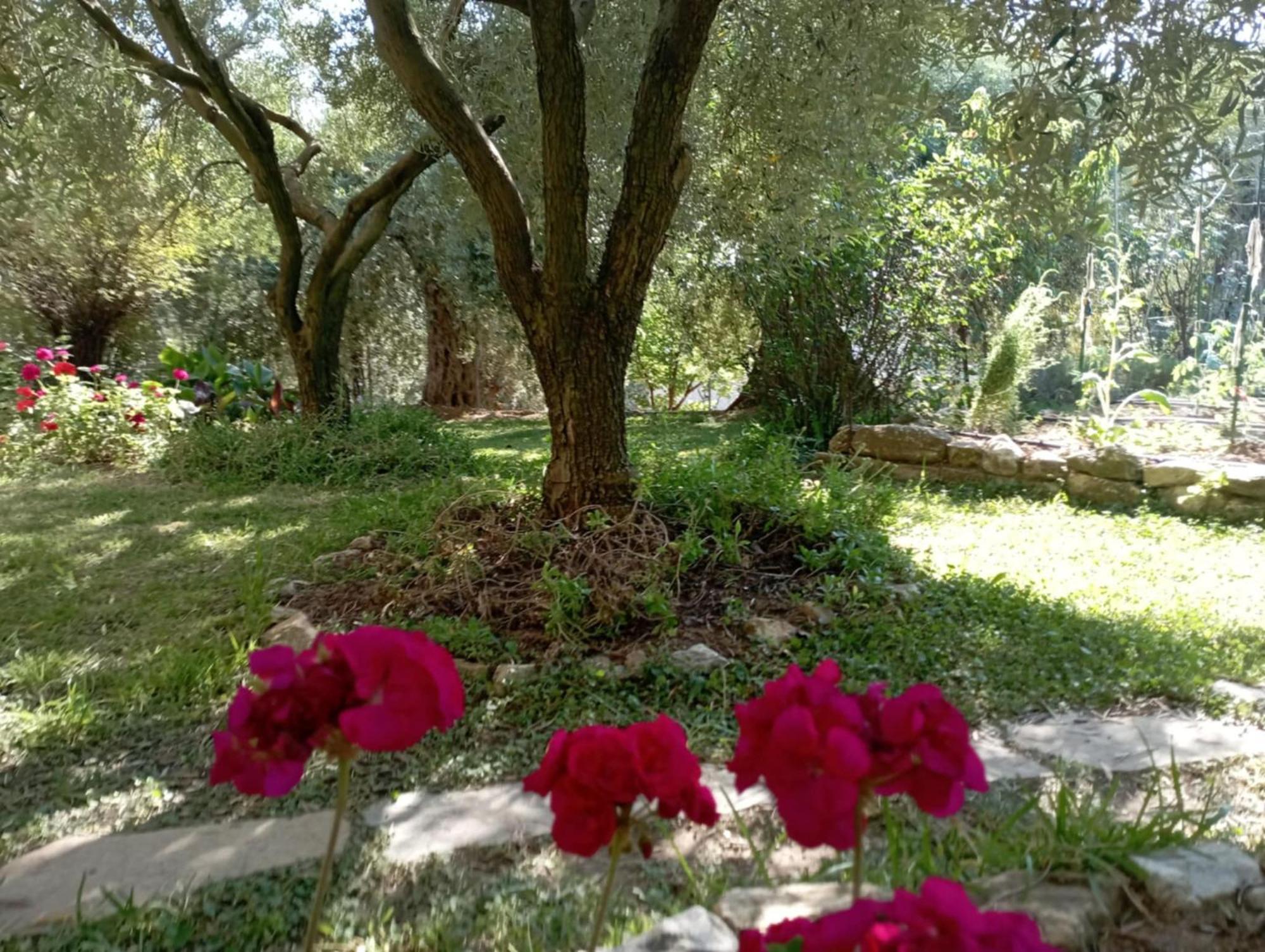 Villa Relax Skála Kallirákhis المظهر الخارجي الصورة