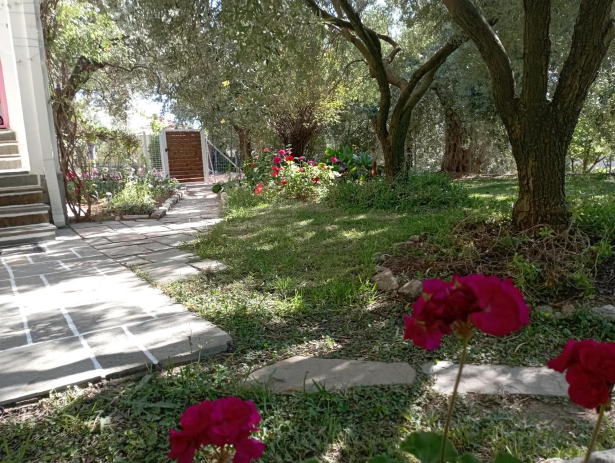 Villa Relax Skála Kallirákhis المظهر الخارجي الصورة